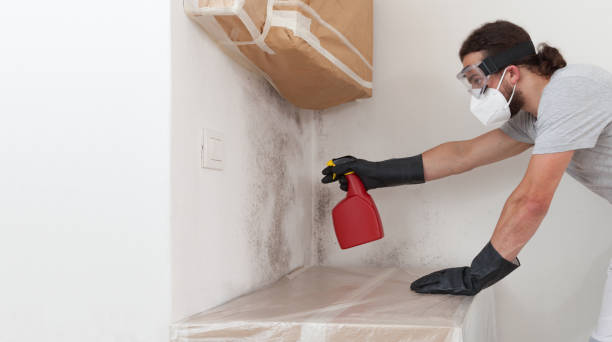Professional Mold Removal technician working in Clarksville, VA