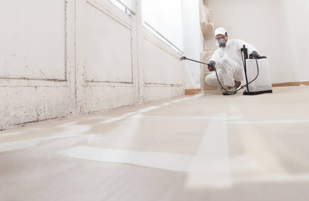 24/7 Emergency Mold Removal experts in Clarksville, VA