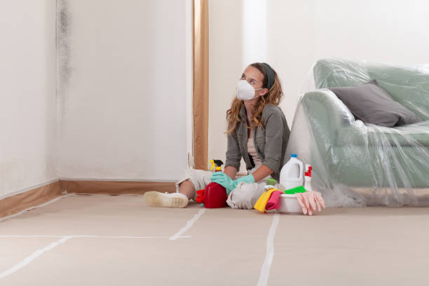 Reliable Mold Remediation contractor in Clarksville, VA by Cheap Mold Removal